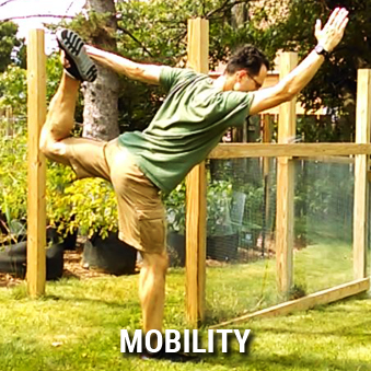 mobility